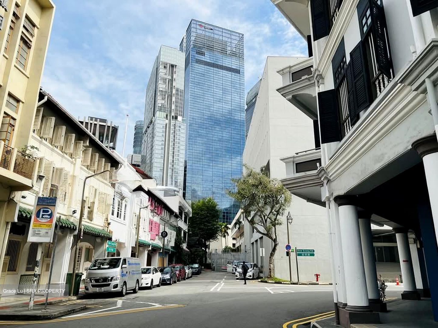 Ann Siang Road (D1), Shop House #593477961